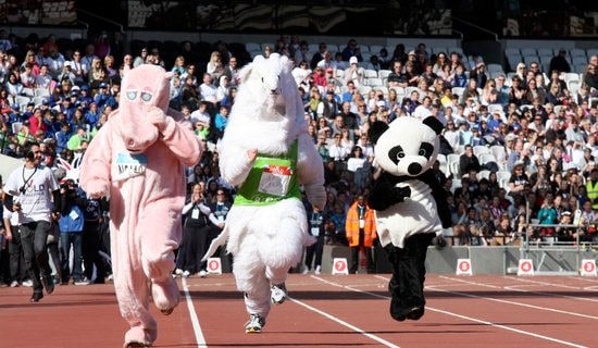 教职工趣味运动会方案(精选11篇)