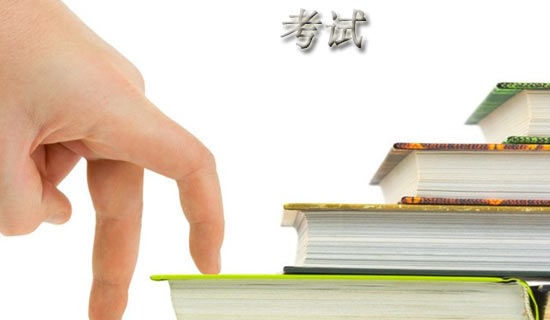 考试的作文(精选48篇)