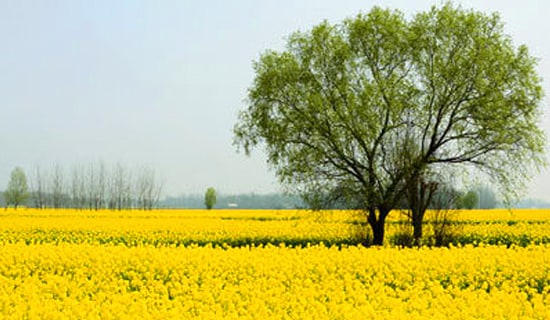 春游总结(精选21篇)