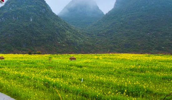 春游总结(精选16篇)